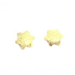 Brinco de ouro amarelo 18k - Estrela - 2BRO0486